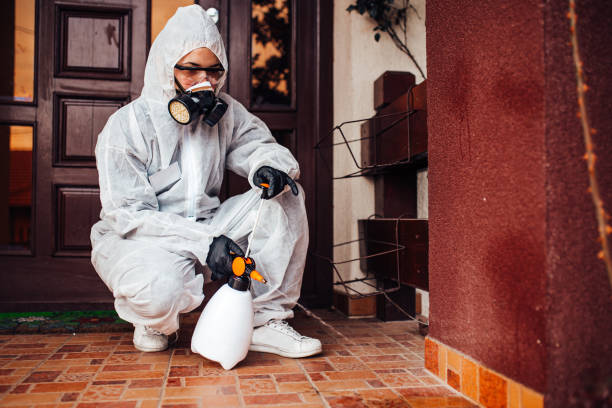 Attic and Crawl Space Rodent Treatment in East Bronson